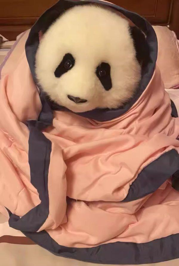 Panda HE HUA - vivid fluffy doll - Image 7